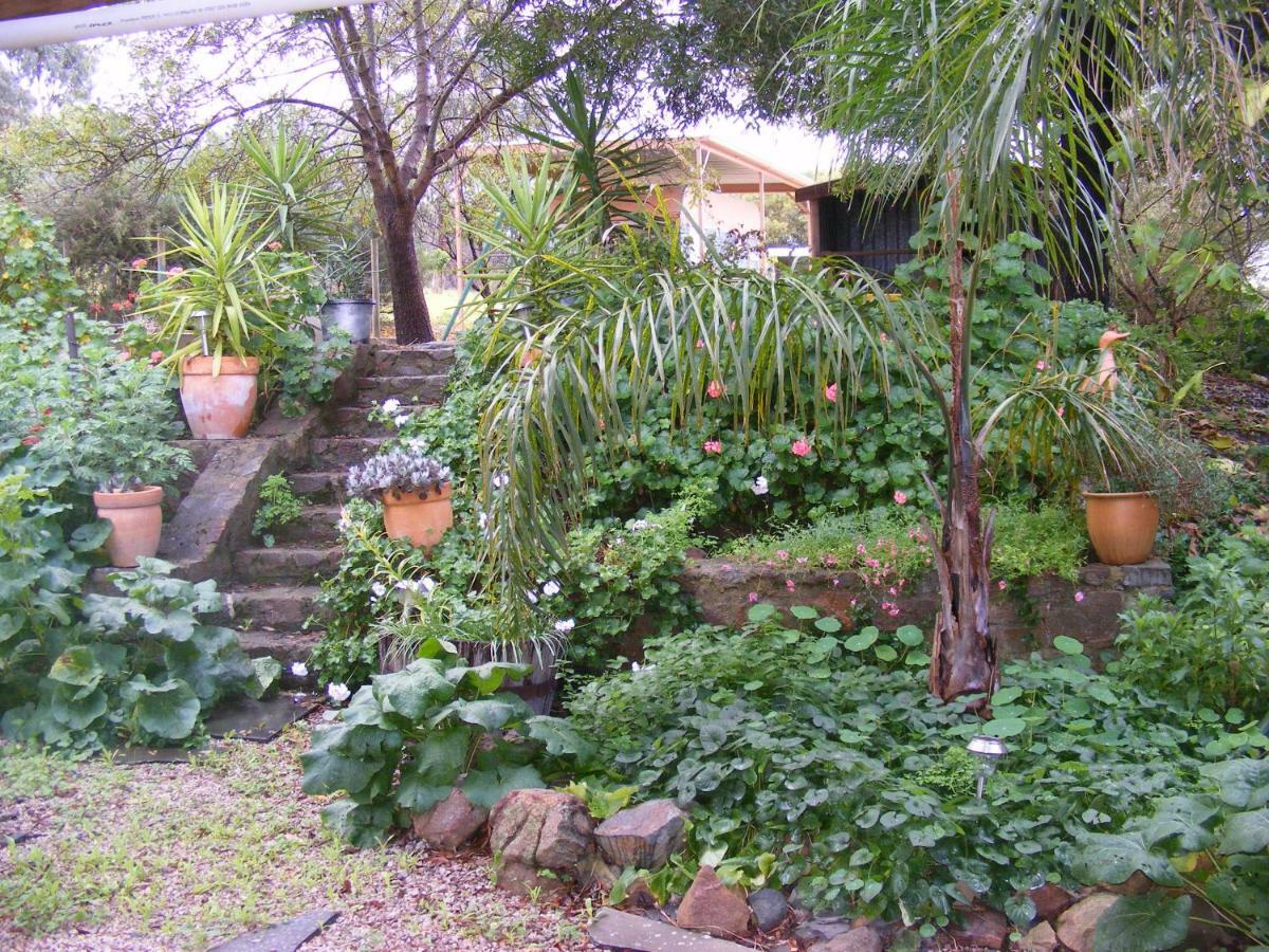 Trevalia Accommodation Penwortham Экстерьер фото